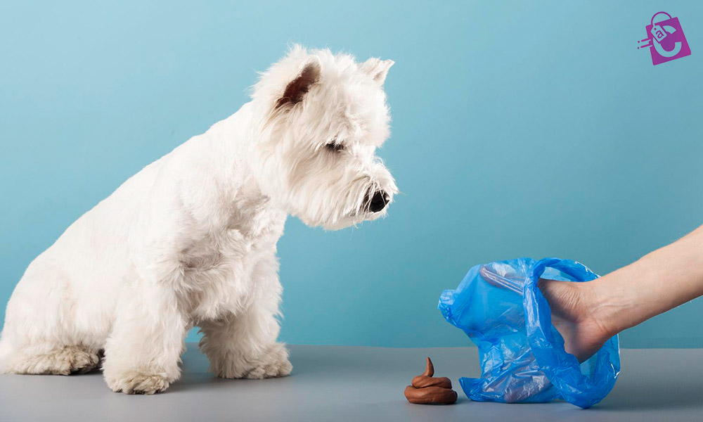 سازماندهی بهداشت با لوازم موردنیاز