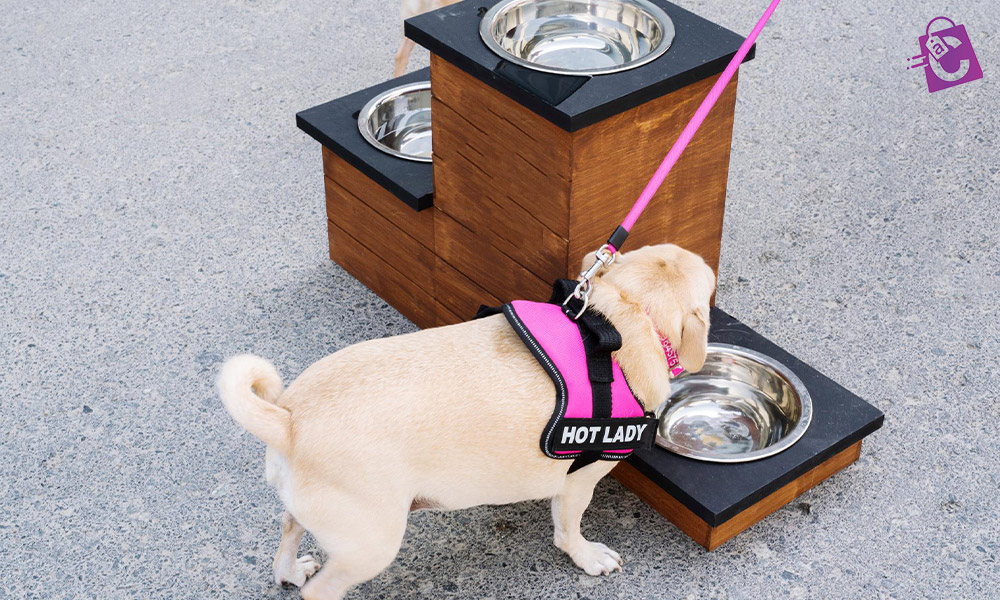 ایمنی با مهار مناسب