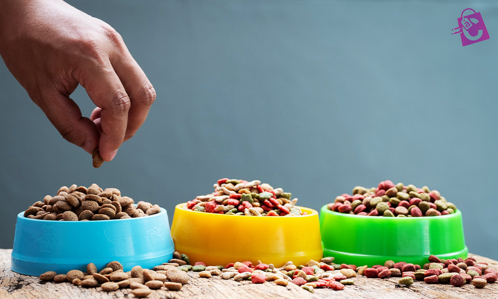 شناخت نیازهای اساسی سگ‌ ها و گربه‌ ها