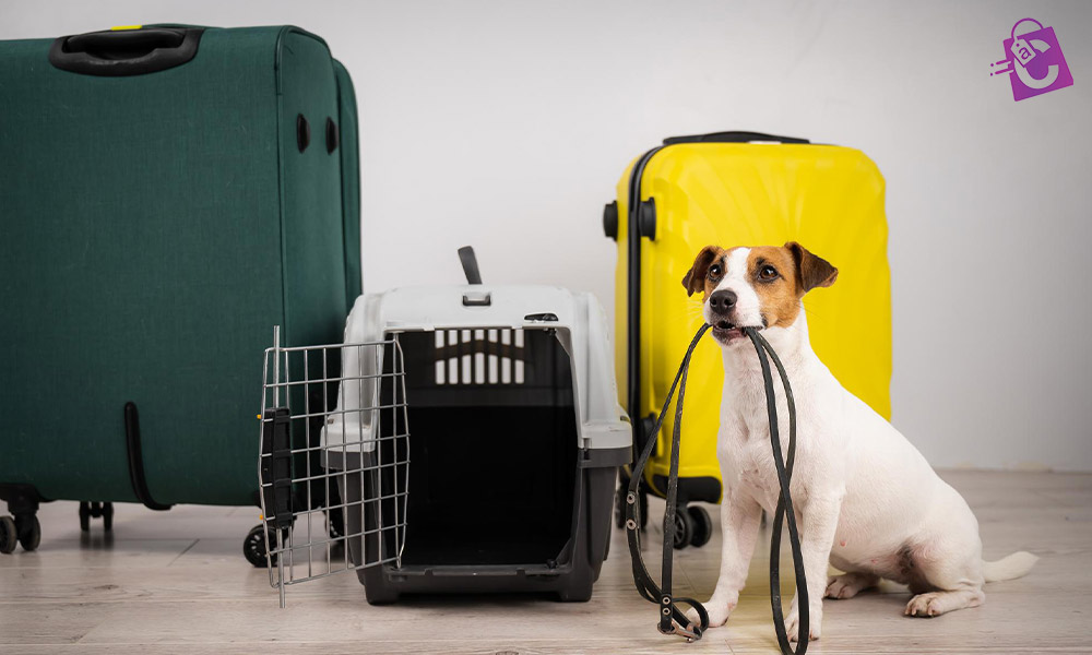 لوازم ضروری پت برای سفرهای طولانی