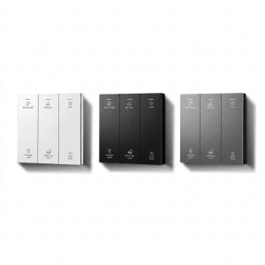 کلید سناریو 6 حالته GS مدل TYG3-SM-61Z-G