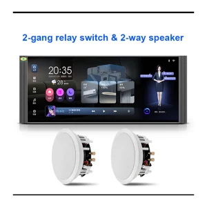 پنل کنترل هوشمند خانه و پخش موسیقی با صفحه‌نمایش لمسی ۱۲ اینچ مدل GS-F12-2CH